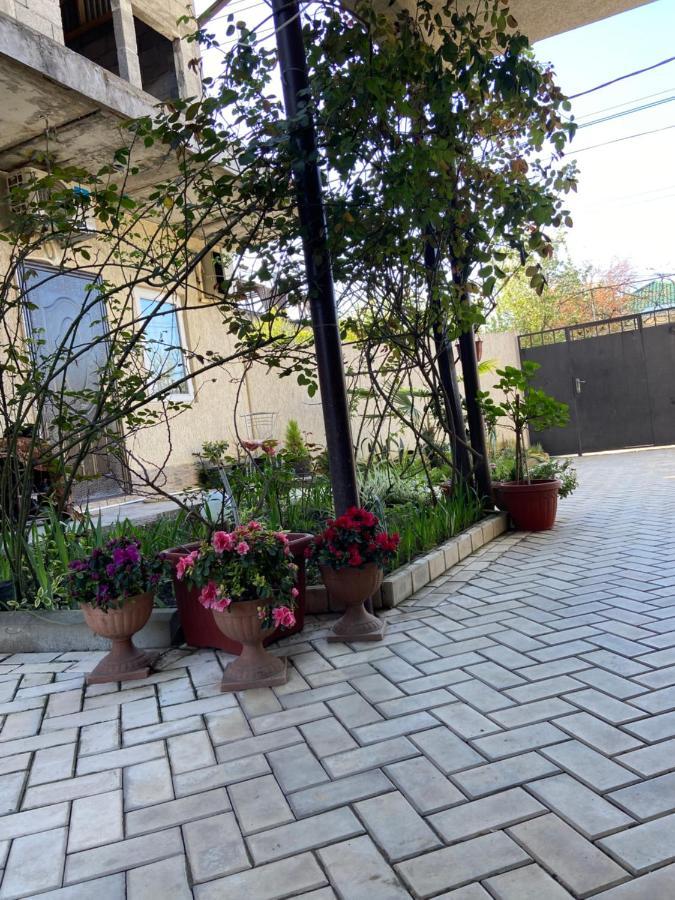 Уютный Дворик Sukhumi Ngoại thất bức ảnh